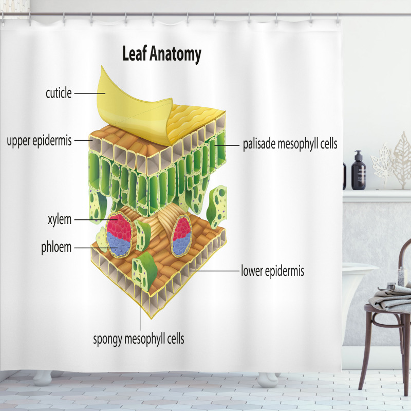 Leaf Names Theme Shower Curtain