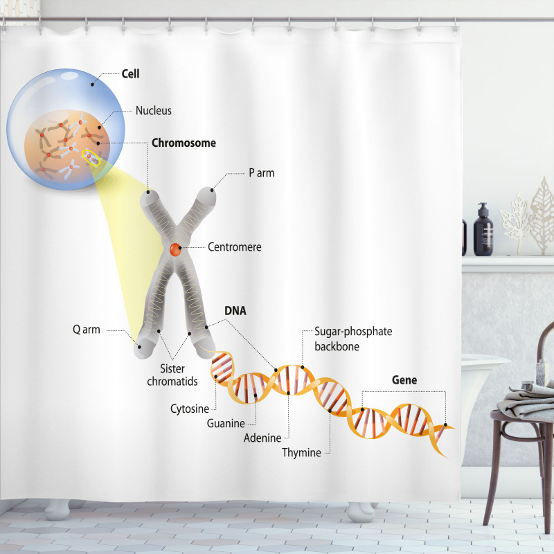 DNA Gene Genome Shower Curtain