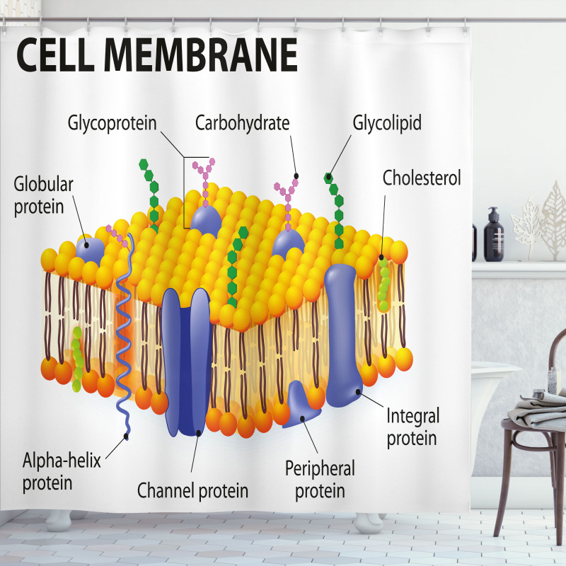 Membrane Cell Types Shower Curtain