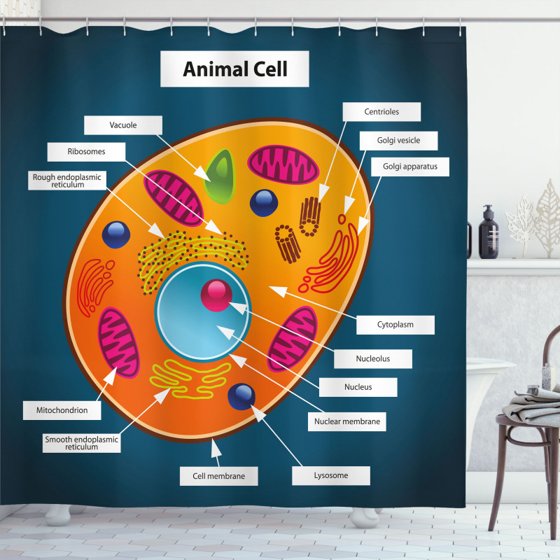 Science at School Shower Curtain