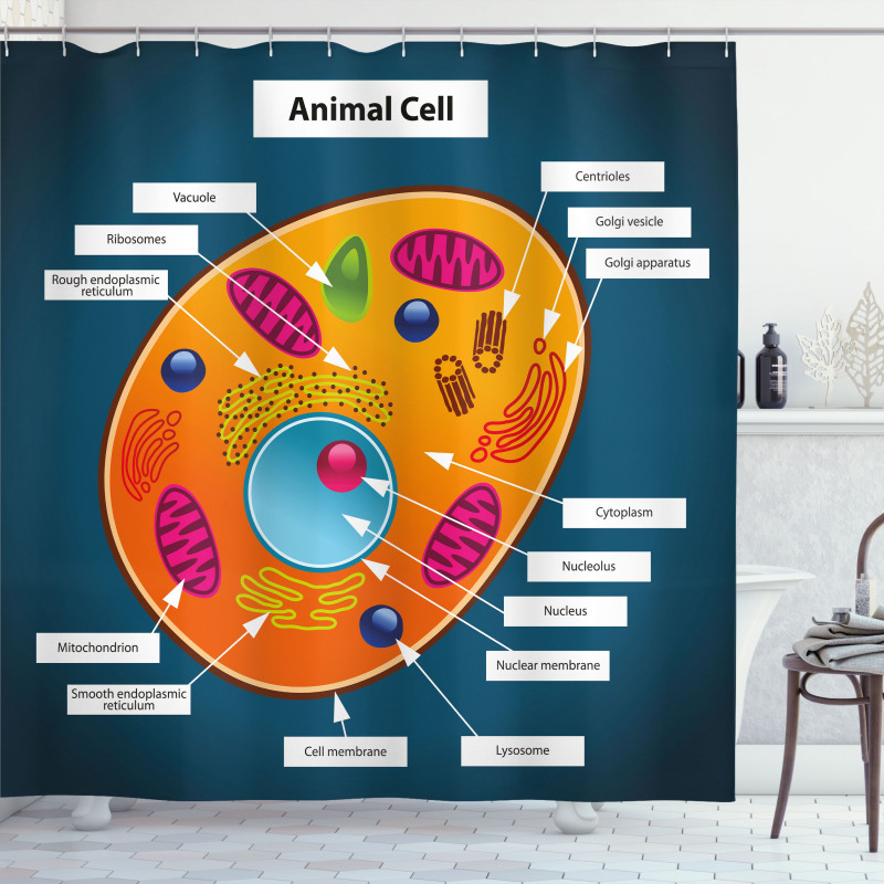 Öğretici Duş Perdesi Hayvan Hücresi Desenli