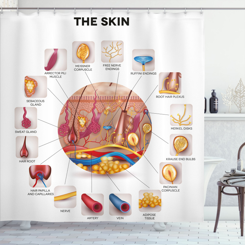 Skin Anatomy Veins Shower Curtain