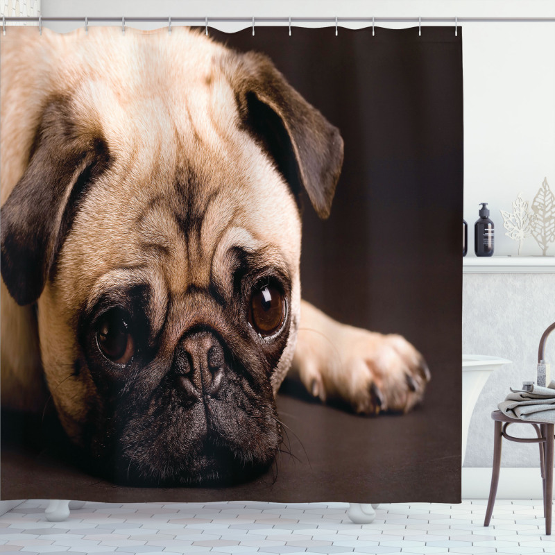 Puppy Photograph Animals Shower Curtain