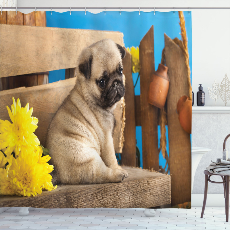 Puppy Photography on Bench Shower Curtain