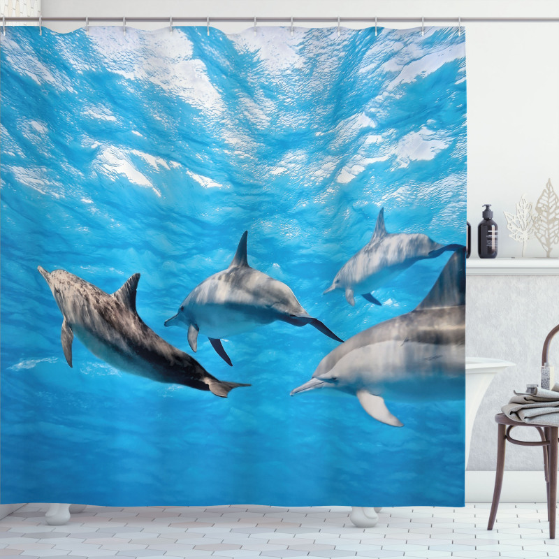 Happily Swimming Fish Shower Curtain