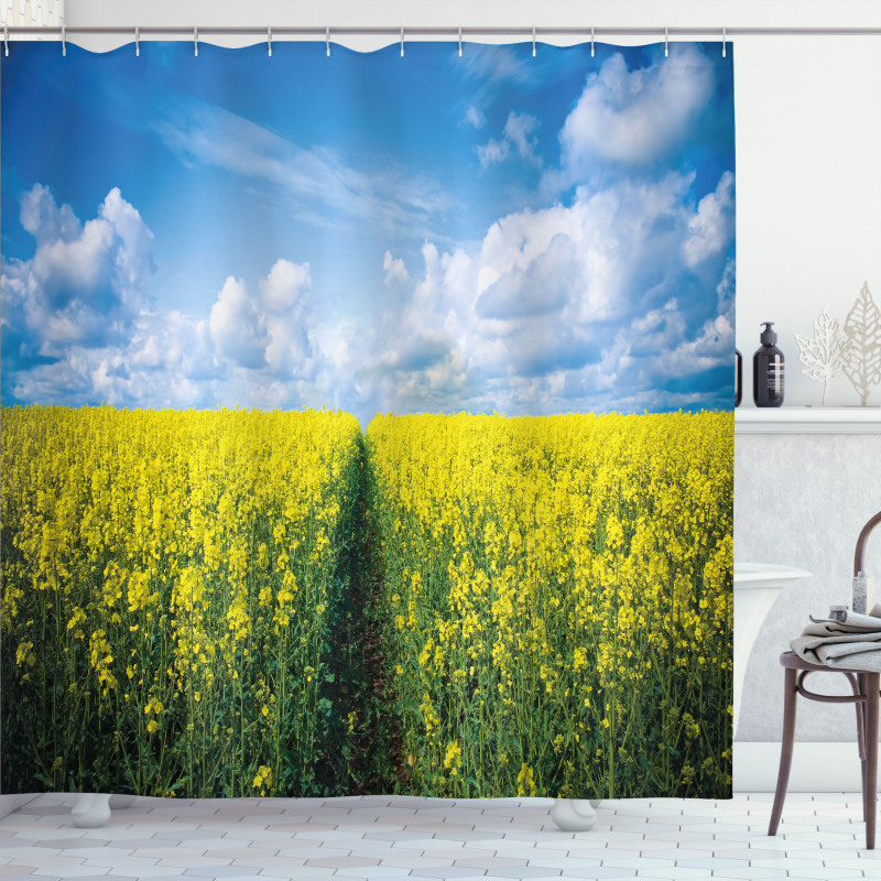 Floral Pathway Shower Curtain