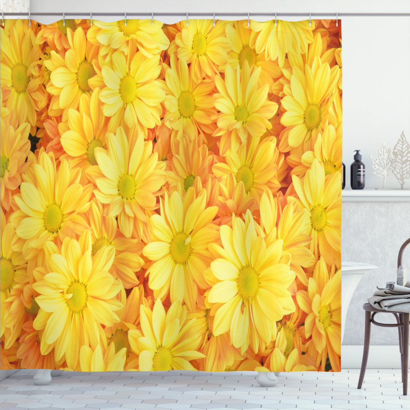 Lively Dasies Shower Curtain