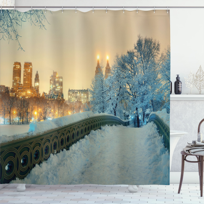 Central Park New York Shower Curtain