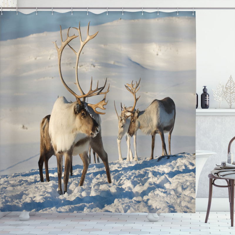 Reindeers Norway Caribou Shower Curtain