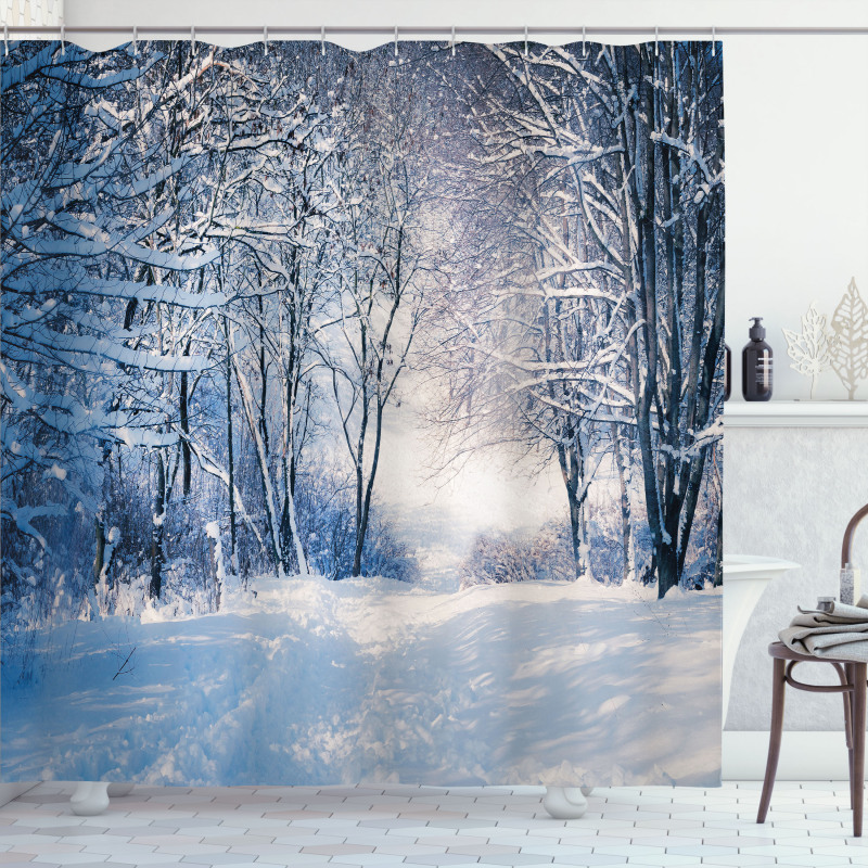 Alley in Snowy Forest Shower Curtain
