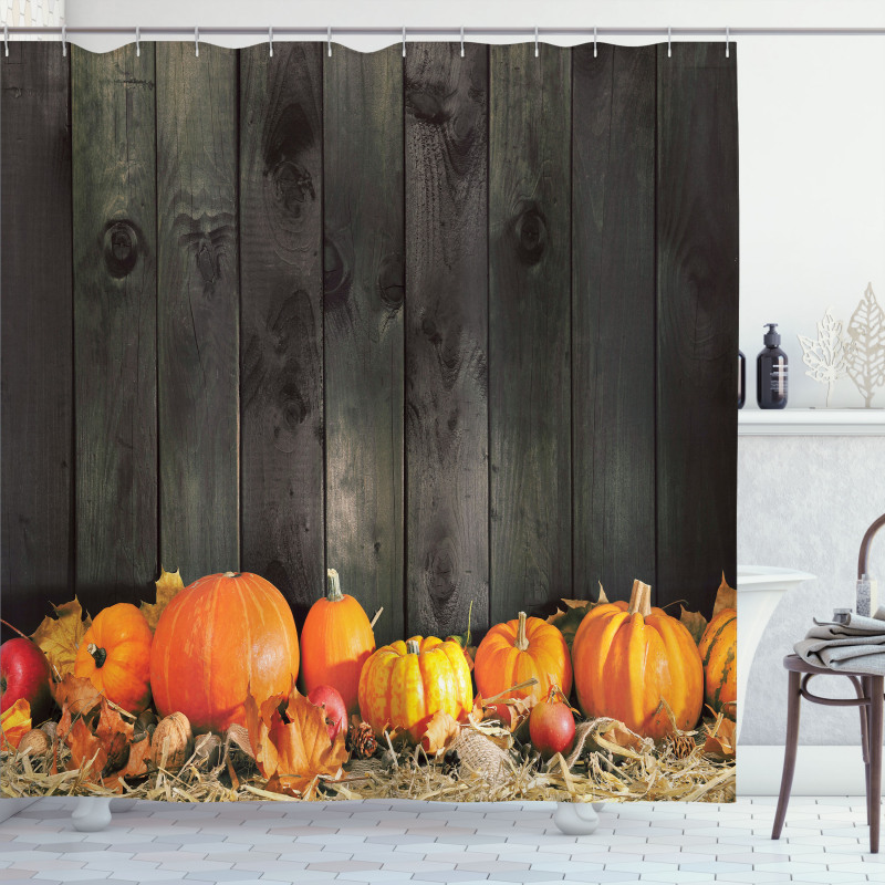 Thanksgiving Pumkins Shower Curtain