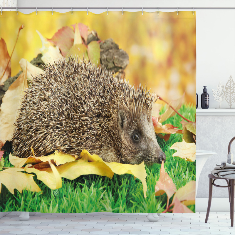 Little Hedgehog Shower Curtain