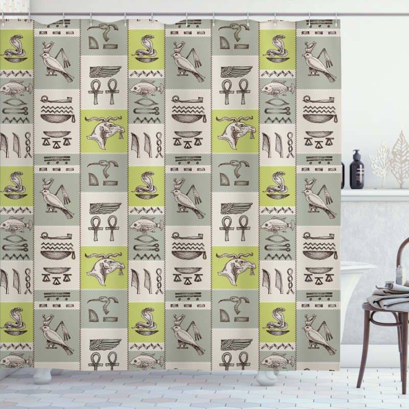 Hieroglyphs Animals Shower Curtain