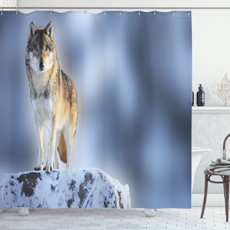 Carnivore Canine in Snow Shower Curtain