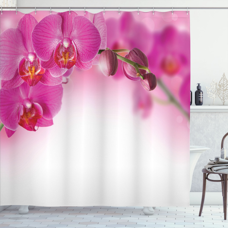 Exotic Orchid Feng Shui Shower Curtain