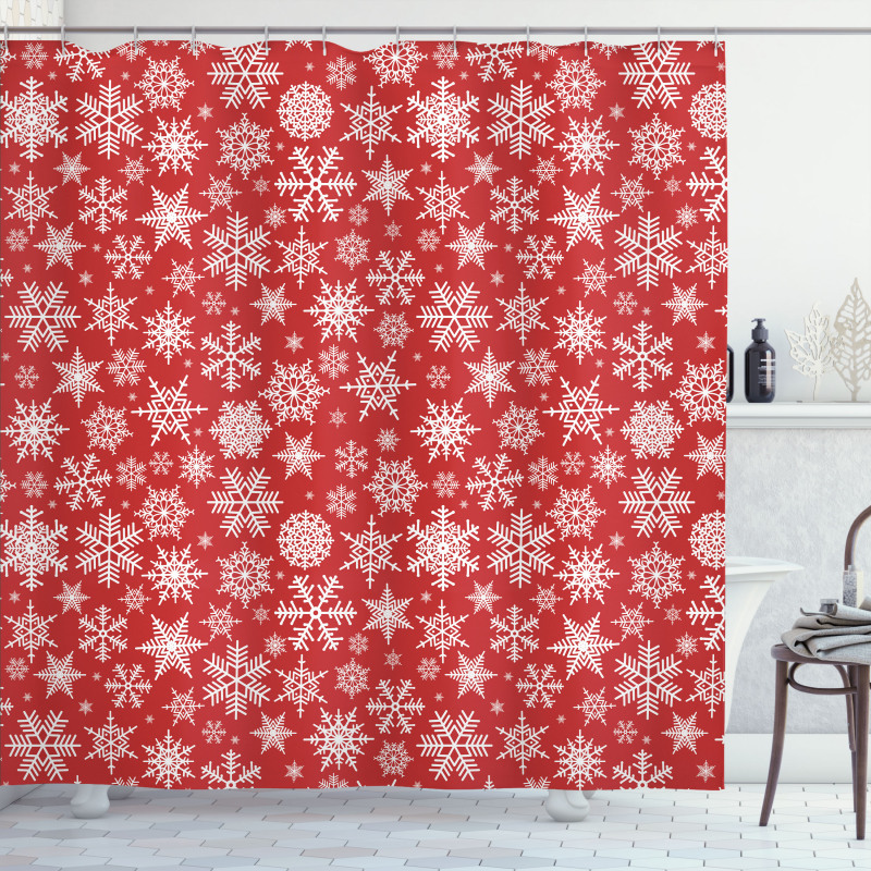 Various Snowflakes Winter Shower Curtain