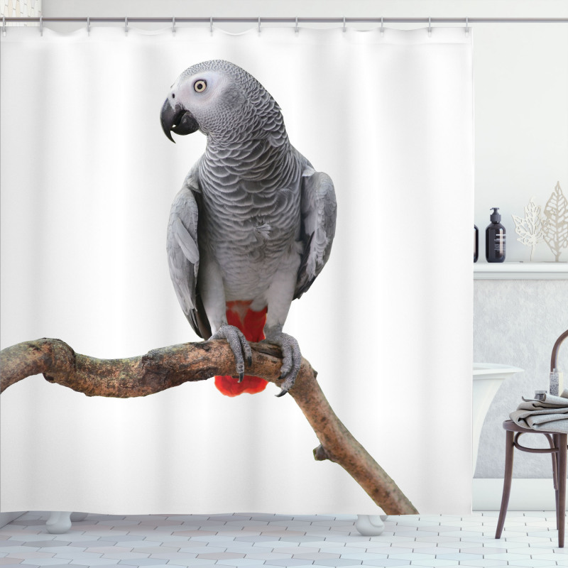 Parrot on a Branch Shower Curtain