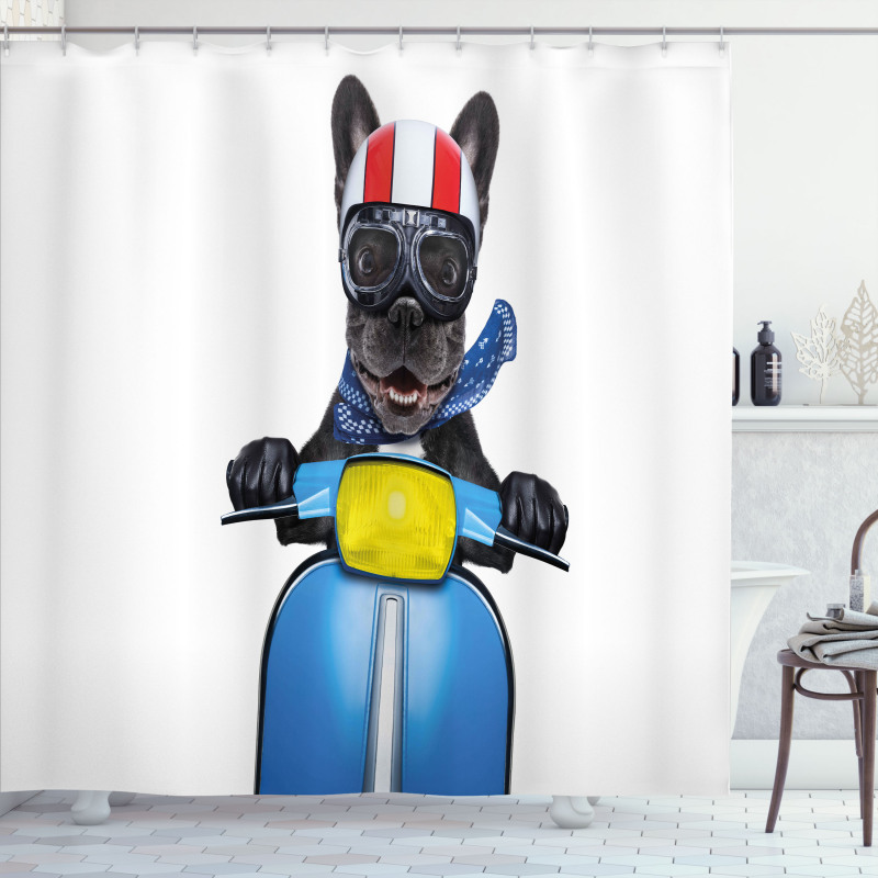 Bulldog on a Scooter Shower Curtain