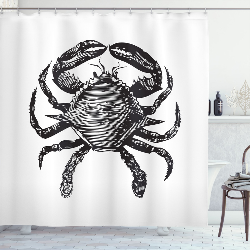 Crustacean Family Artwork Shower Curtain