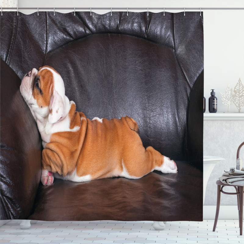 Resting Puppy Shower Curtain