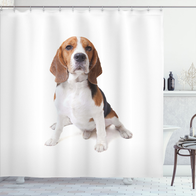Puppy Dog Friend Posing Shower Curtain