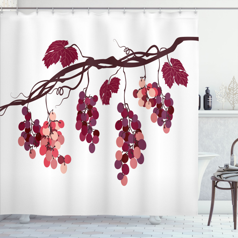 Vine Colorful Grapes Shower Curtain