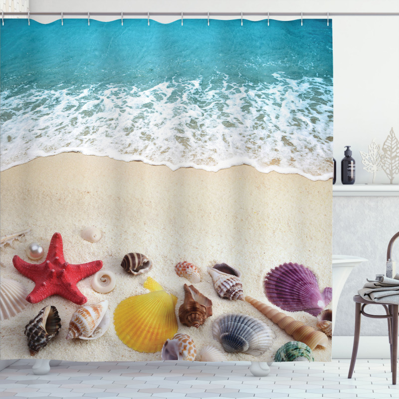 Sea Shells on Sandy Coast Shower Curtain