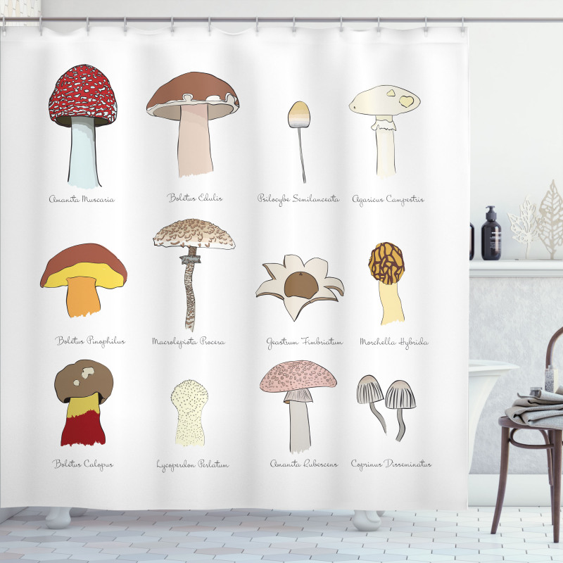 Blusher Boletus Sketch Shower Curtain