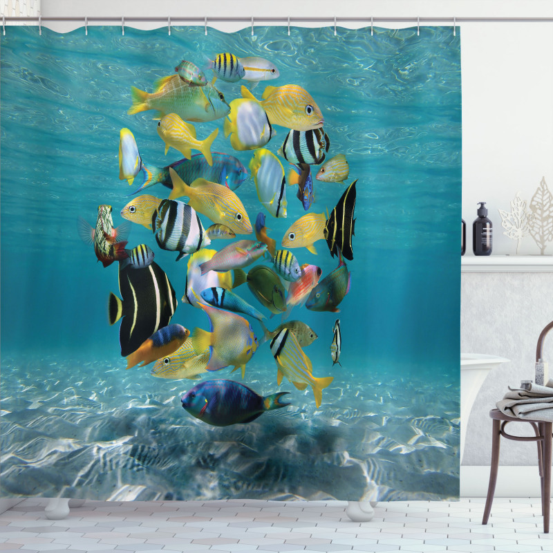Shoal of Fish Underwater Shower Curtain