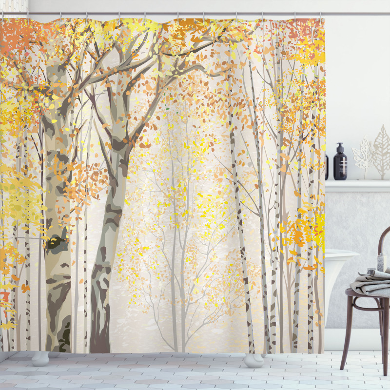 Birch Growth in Fall Shower Curtain