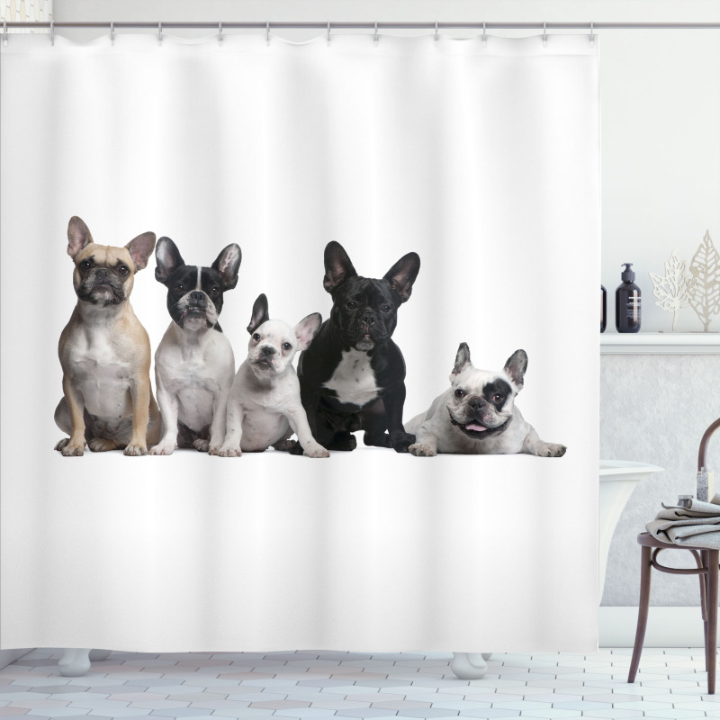 Young Doggies Photo Shower Curtain