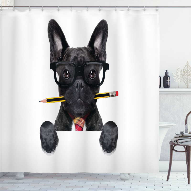 Businessman Dog Glasses Shower Curtain