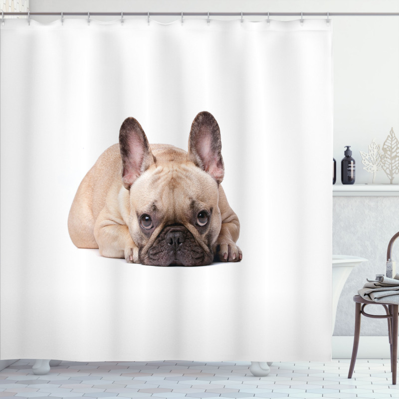 Funny Pet Animal Lovers Shower Curtain
