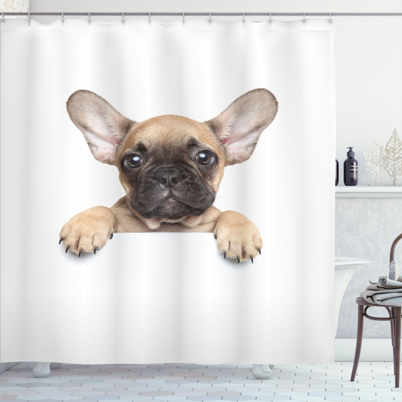 Pedigreed Young Puppy Shower Curtain