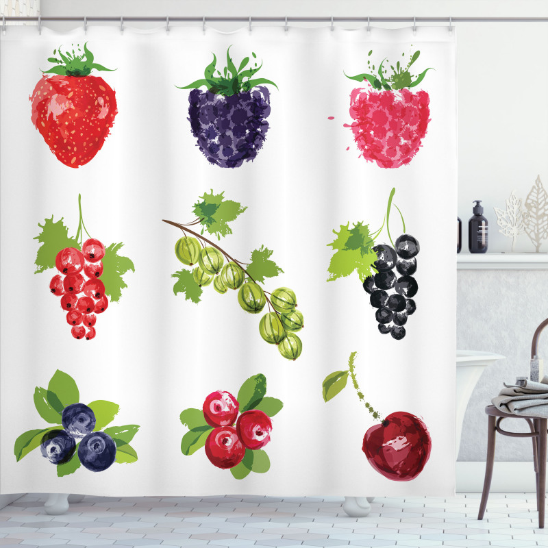 Composition of Berries Shower Curtain