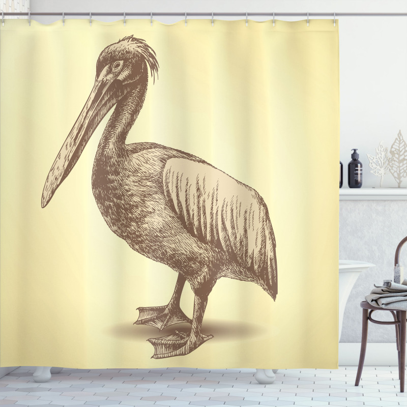 Sketchy Pelican Shower Curtain