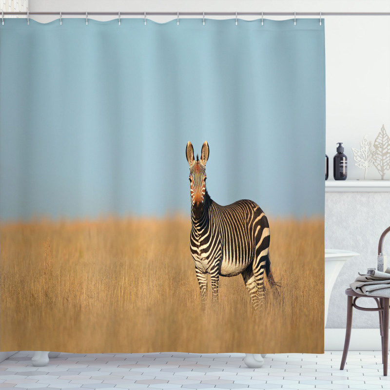 Zebra Mountain Grass Shower Curtain