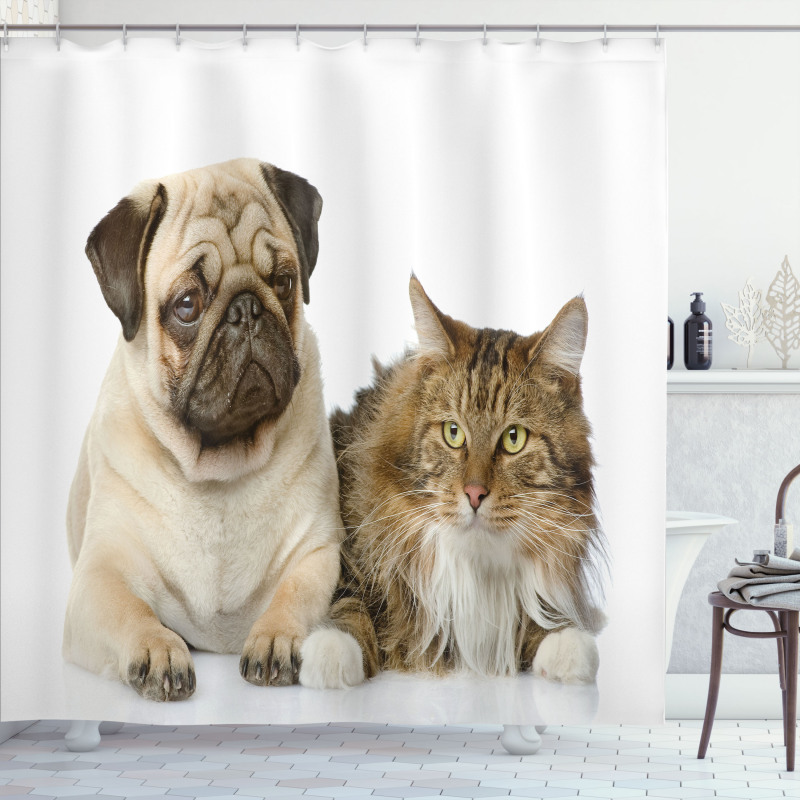 Pets Sitting Studio Shot Shower Curtain