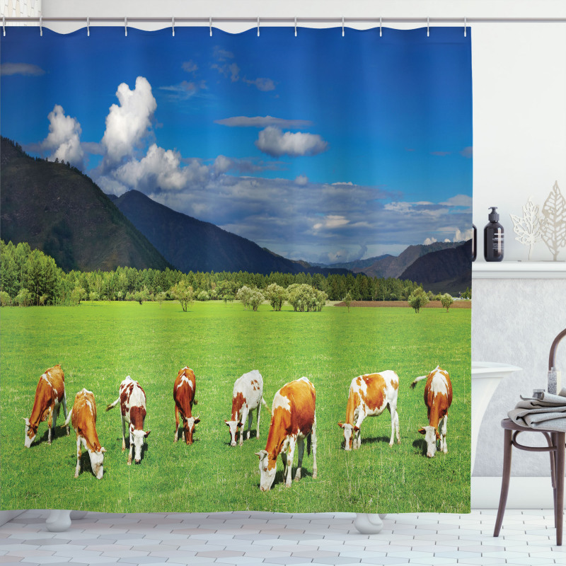 Mountains Grazing Cows Shower Curtain