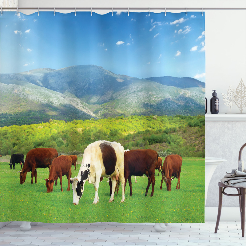 Spring Season Cottage Shower Curtain