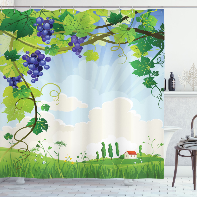 Rural Countryside Grapes Shower Curtain
