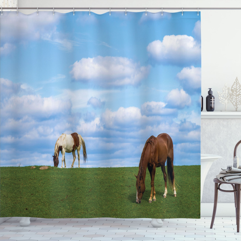 Horses Grazing Meadow Shower Curtain