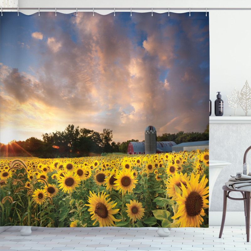 Sunflower Field Sky Shower Curtain