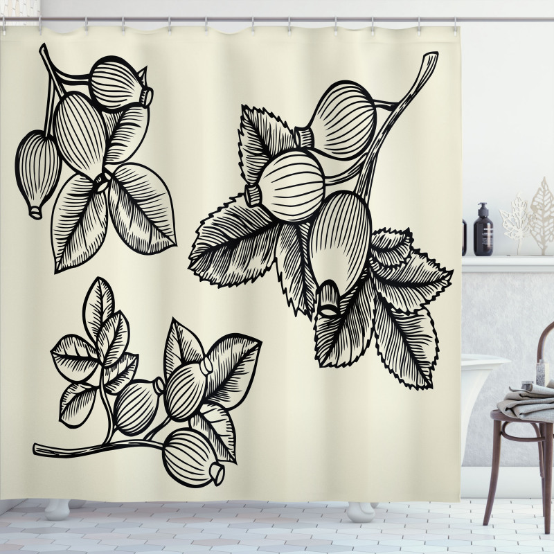 Rosa Canina Sketch Shower Curtain