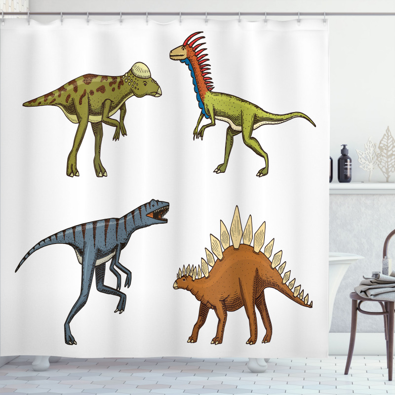 Reptile Fossils Animals Shower Curtain