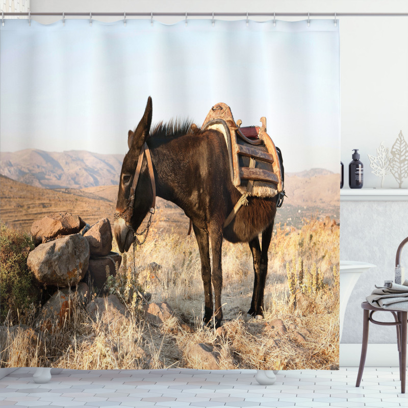 Greek Donkey in Mountains Shower Curtain