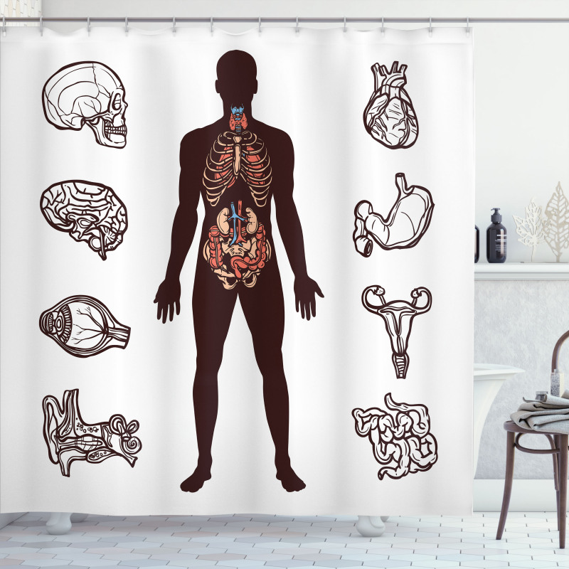 Organs Infographic Image Shower Curtain