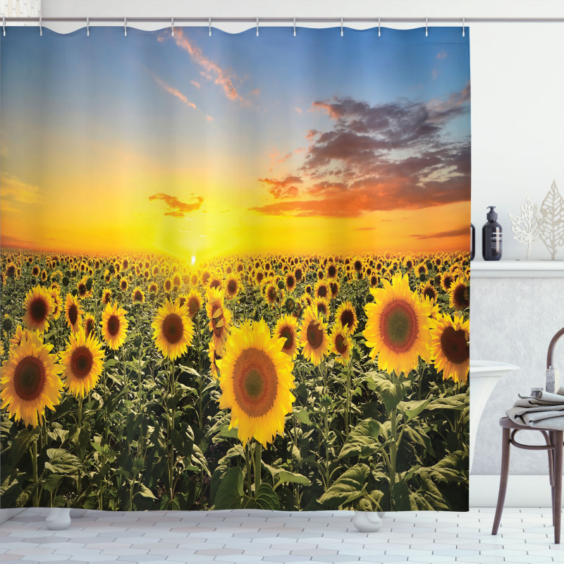 Sunflowers Field Dusk Shower Curtain