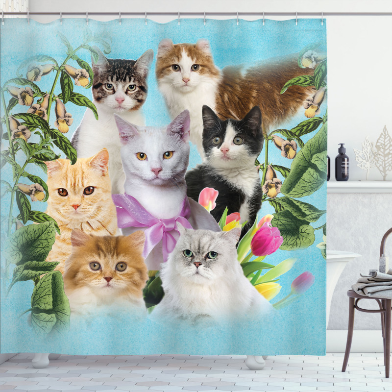 Cats Feline Domestic Shower Curtain