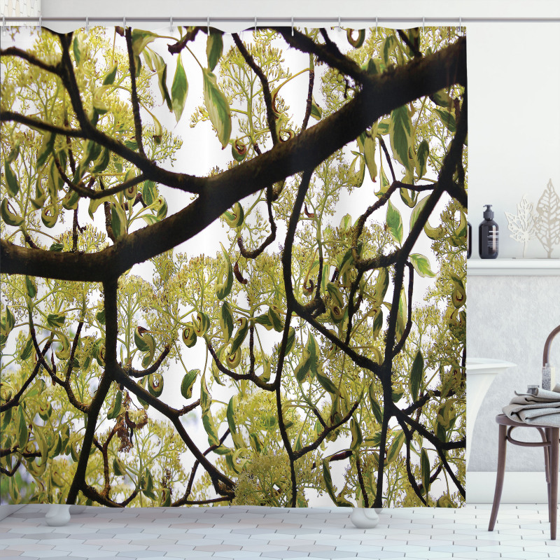 Close up Leafy Branches Photo Shower Curtain
